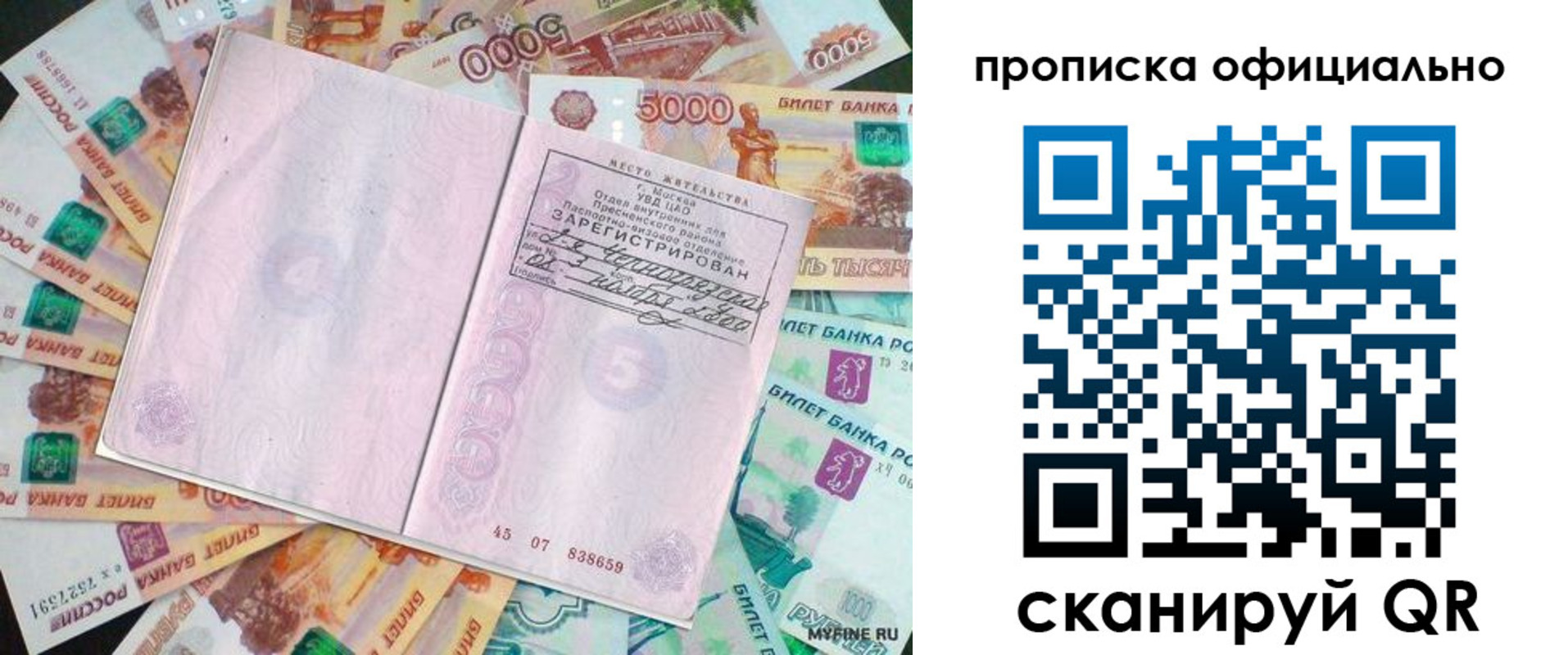 прописка поиск в Малоярославце